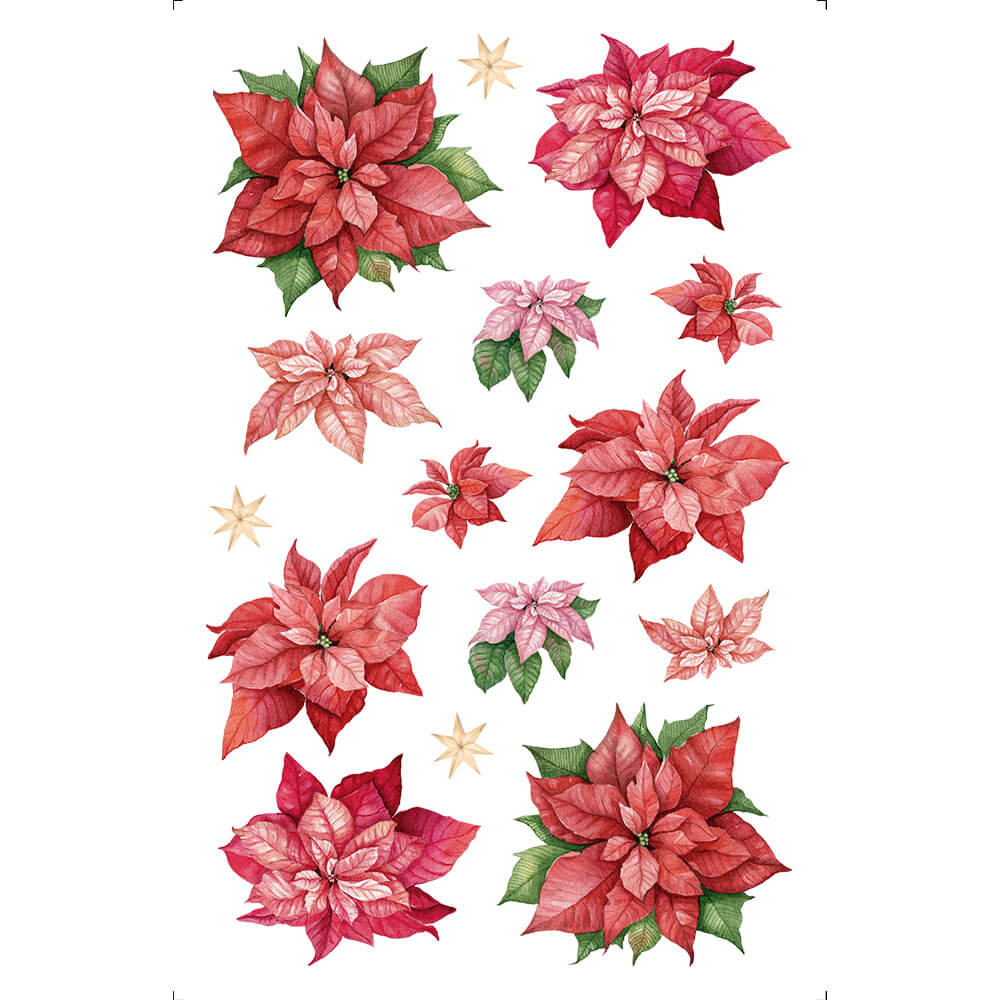 TRANSFER DE IMAGEM SMALL NATAL  - 9,8 X 15 CM POINSETIAS TISN-014