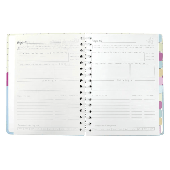 PLANNER A5 100FOLHAS CAPA DURA COM ELASTICO BLUSH